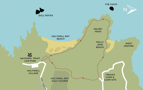 Map Of Newquay Beaches