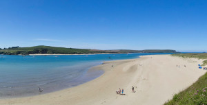 Rock beach is a dog friendly beach in Cornwall