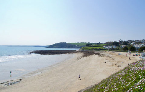 cornwall-beach-gyllyngvase-falmouth - 360Beaches