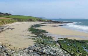 Cornwall beaches Towan Beach St Mawes & The Roseland